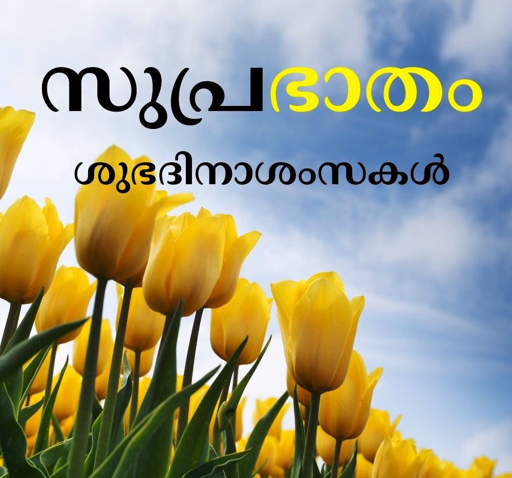 The Best Good Morning Quotes Good Morning Wishes Good Morning Greetings In Malayalam Indian Festival Photos